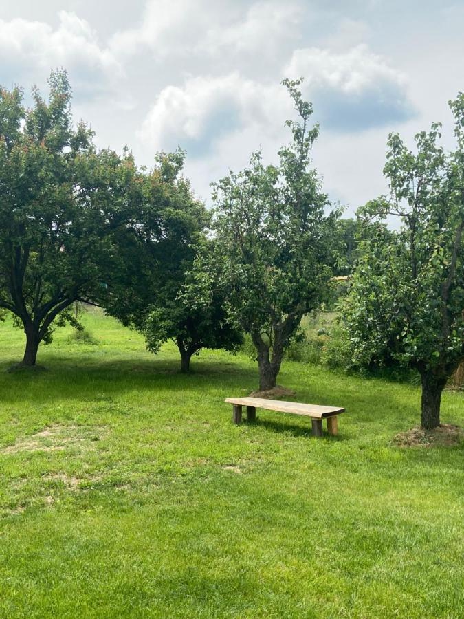 Holiday Home Znojmo W/ Wellness & Wine Buitenkant foto